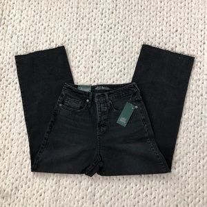NWT Wild Fable High Waisted Skater Wide Leg Jeans